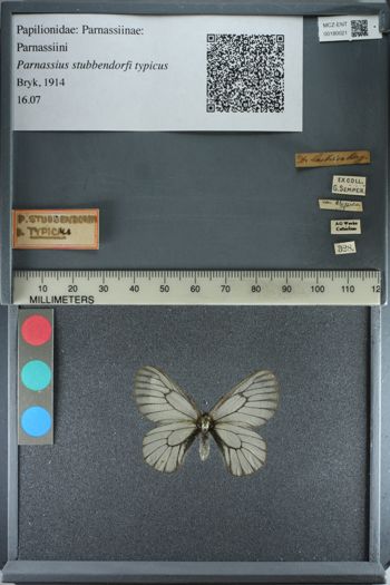 Media type: image;   Entomology 180021